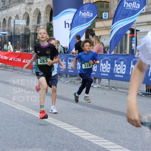 07.09.2025 - BARMER Alsterlauf Strokosch-Dieckow http://msf.ph/oto/8727942 07.09.2025 10:50:31 Ziel  meine-sportfotos.de