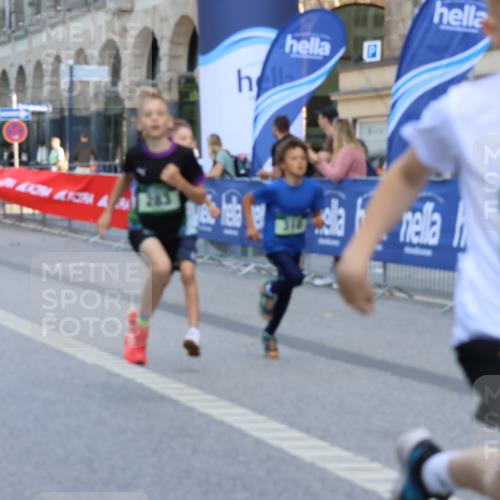 07.09.2025 - BARMER Alsterlauf Strokosch-Dieckow http://msf.ph/oto/8727943 07.09.2025 10:50:31 Ziel  meine-sportfotos.de