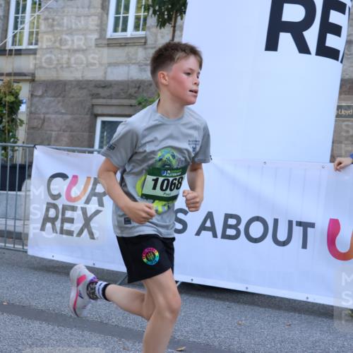 07.09.2025 - BARMER Alsterlauf Strokosch-Dieckow http://msf.ph/oto/8728082 07.09.2025 12:01:58 Ziel  meine-sportfotos.de