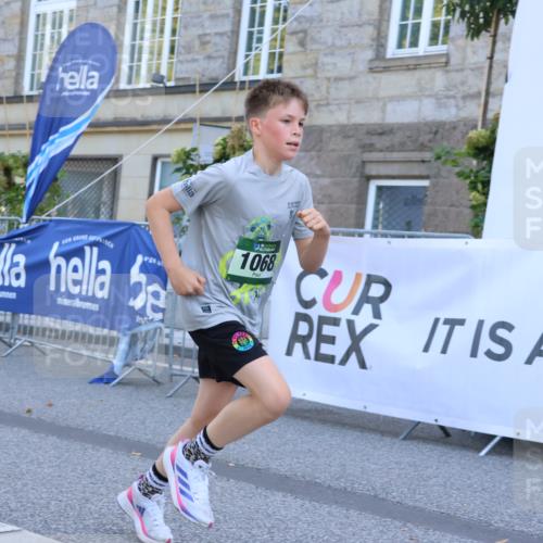 07.09.2025 - BARMER Alsterlauf Strokosch-Dieckow http://msf.ph/oto/8728088 07.09.2025 12:01:58 Ziel  meine-sportfotos.de