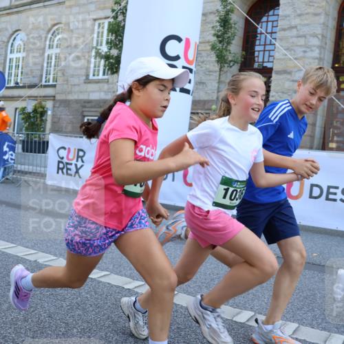 07.09.2025 - BARMER Alsterlauf Strokosch-Dieckow http://msf.ph/oto/8728131 07.09.2025 12:01:37 Ziel  meine-sportfotos.de