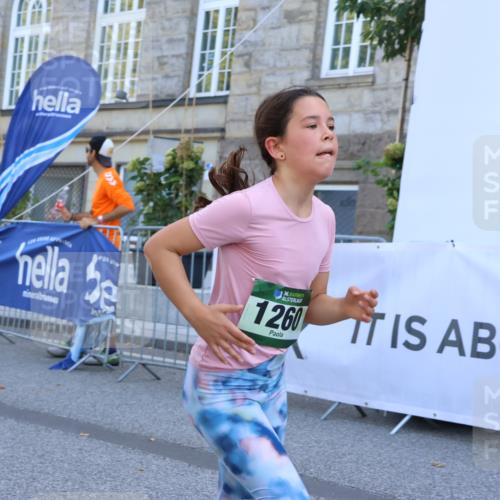 07.09.2025 - BARMER Alsterlauf Strokosch-Dieckow http://msf.ph/oto/8728145 07.09.2025 12:01:29 Ziel  meine-sportfotos.de