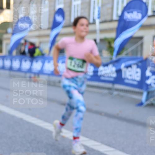 07.09.2025 - BARMER Alsterlauf Strokosch-Dieckow http://msf.ph/oto/8728159 07.09.2025 12:01:28 Ziel  meine-sportfotos.de