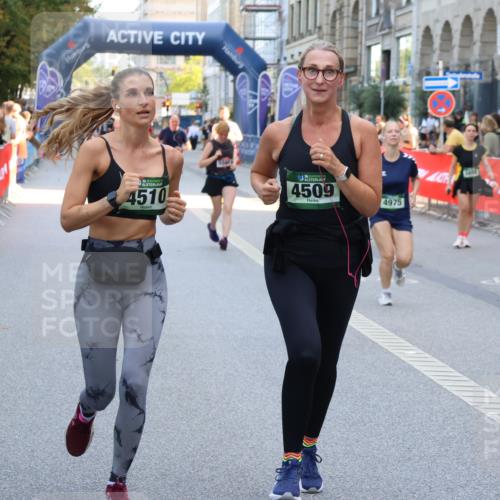 07.09.2025 - BARMER Alsterlauf Strokosch-Dieckow http://msf.ph/oto/8735785 07.09.2025 10:19:48 Ziel 2525, 3619, 4145, 4393, 4394, 5256, 5331, 5332 meine-sportfotos.de