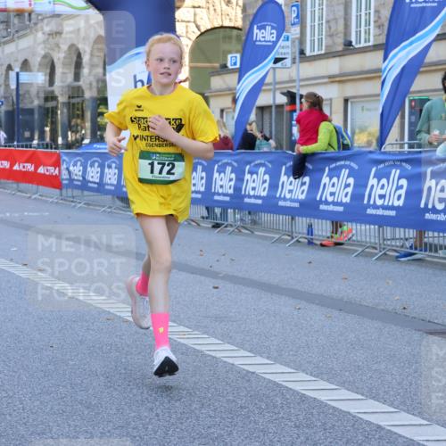 07.09.2025 - BARMER Alsterlauf Strokosch-Dieckow http://msf.ph/oto/8736306 07.09.2025 11:44:48 Ziel 1133, 1149, 1150, 1151, 1156, 4054, 8140, 8141, 8235 meine-sportfotos.de