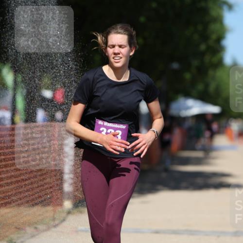 07.09.2025 - 19. Norderstedt Triathlon Michael Strokosch http://msf.ph/oto/8736983 07.09.2025 13:43:05 Laufen 142, 323, 339 meine-sportfotos.de