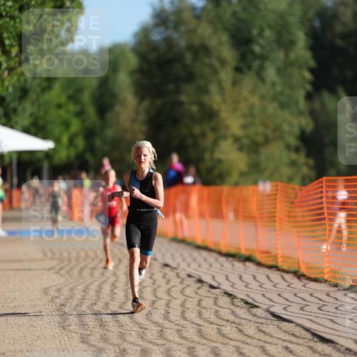 07.09.2025 - 19. Norderstedt Triathlon Michael Strokosch http://msf.ph/oto/8737446 07.09.2025 09:11:43 Laufen 46, 50, 53 meine-sportfotos.de