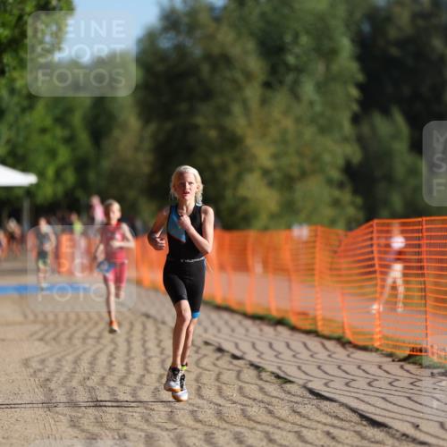 07.09.2025 - 19. Norderstedt Triathlon Michael Strokosch http://msf.ph/oto/8737466 07.09.2025 09:11:43 Laufen 46, 50, 53 meine-sportfotos.de