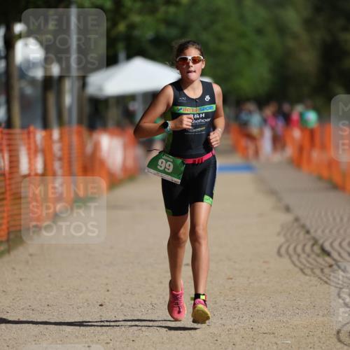 07.09.2025 - 19. Norderstedt Triathlon Michael Strokosch http://msf.ph/oto/8738604 07.09.2025 10:54:40 Laufen 99, 678, 1137 meine-sportfotos.de
