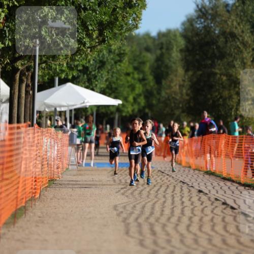 07.09.2025 - 19. Norderstedt Triathlon Michael Strokosch http://msf.ph/oto/8738817 07.09.2025 09:13:12 Laufen  meine-sportfotos.de