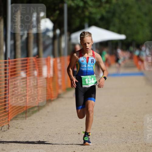 07.09.2025 - 19. Norderstedt Triathlon Michael Strokosch http://msf.ph/oto/8740021 07.09.2025 10:55:40 Laufen 134, 637, 680 meine-sportfotos.de