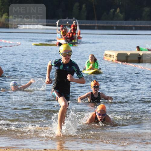 07.09.2025 - 19. Norderstedt Triathlon Luisa Fischer http://msf.ph/oto/8740736 07.09.2025 09:31:08 Schwimmen 555, 564, 597, 608, 610, 616 meine-sportfotos.de