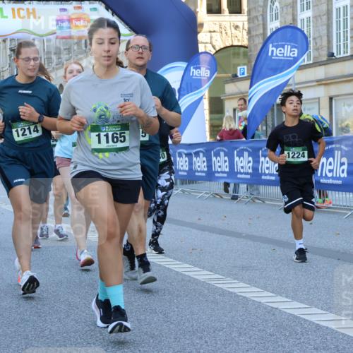 07.09.2025 - BARMER Alsterlauf Strokosch-Dieckow http://msf.ph/oto/8740920 07.09.2025 11:42:19 Ziel 1005, 1060, 1074, 1075, 1109, 1124, 1190, 1227, 1228, 1229, 2926, 2927, 8196, 8320, 8430, 8473 meine-sportfotos.de