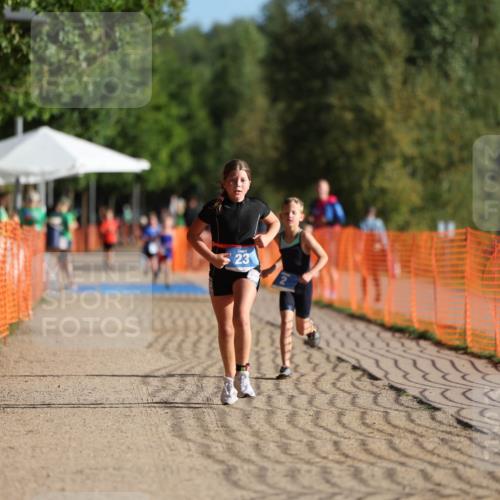 07.09.2025 - 19. Norderstedt Triathlon Michael Strokosch http://msf.ph/oto/8741039 07.09.2025 09:15:09 Laufen 23 meine-sportfotos.de