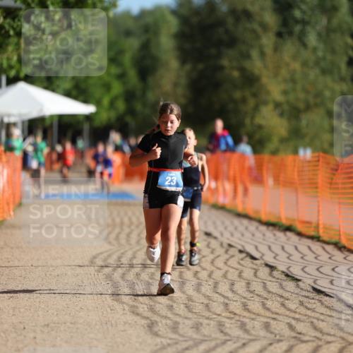 07.09.2025 - 19. Norderstedt Triathlon Michael Strokosch http://msf.ph/oto/8741074 07.09.2025 09:15:10 Laufen 2, 23 meine-sportfotos.de