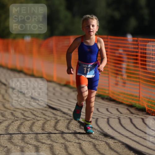 07.09.2025 - 19. Norderstedt Triathlon Michael Strokosch http://msf.ph/oto/8741545 07.09.2025 09:15:32 Laufen 11, 38 meine-sportfotos.de