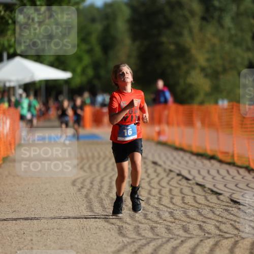 07.09.2025 - 19. Norderstedt Triathlon Michael Strokosch http://msf.ph/oto/8741702 07.09.2025 09:15:38 Laufen 11, 16, 38 meine-sportfotos.de