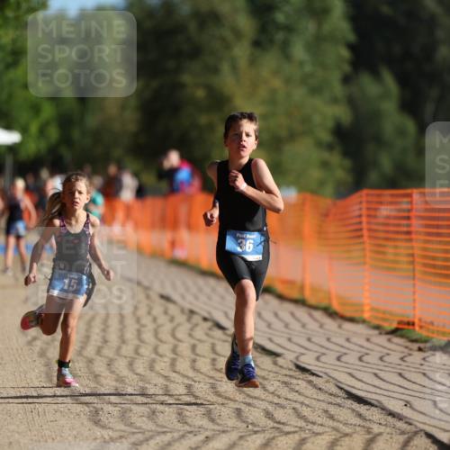 07.09.2025 - 19. Norderstedt Triathlon Michael Strokosch http://msf.ph/oto/8742521 07.09.2025 09:16:23 Laufen 6, 15, 36, 40 meine-sportfotos.de