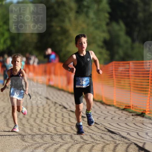 07.09.2025 - 19. Norderstedt Triathlon Michael Strokosch http://msf.ph/oto/8742530 07.09.2025 09:16:23 Laufen 6, 15, 36, 40 meine-sportfotos.de