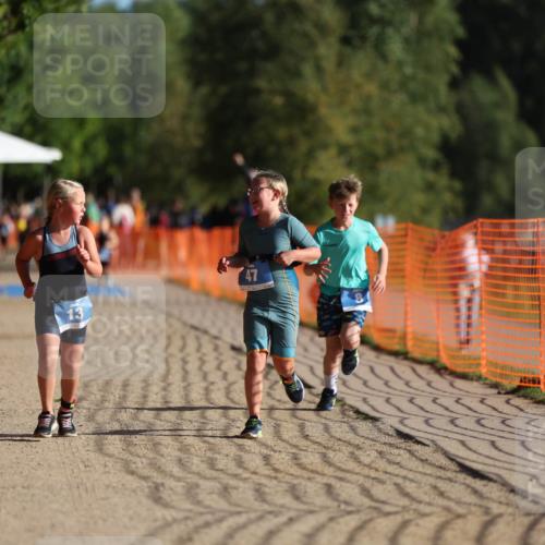 07.09.2025 - 19. Norderstedt Triathlon Michael Strokosch http://msf.ph/oto/8742711 07.09.2025 09:16:33 Laufen 8, 13, 47 meine-sportfotos.de