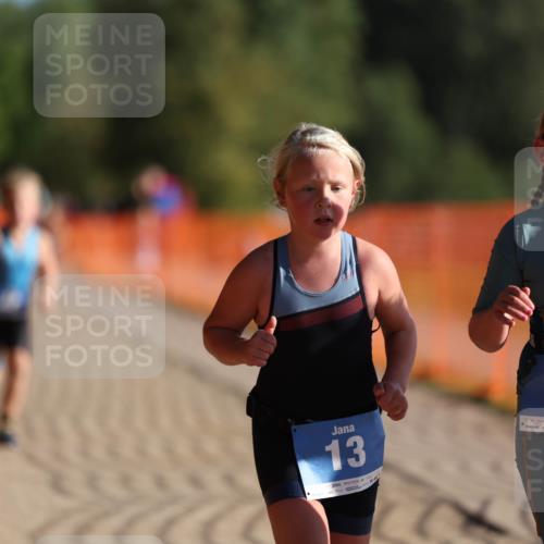 07.09.2025 - 19. Norderstedt Triathlon Michael Strokosch http://msf.ph/oto/8742836 07.09.2025 09:16:38 Laufen 8, 13, 47, 48 meine-sportfotos.de