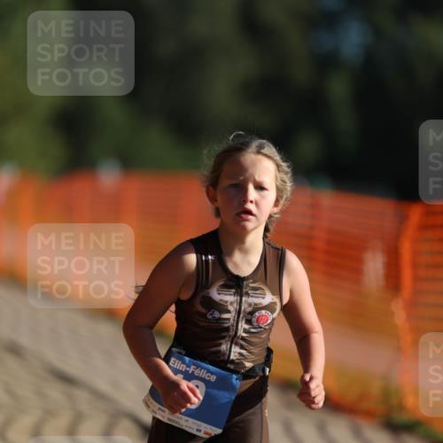07.09.2025 - 19. Norderstedt Triathlon Michael Strokosch http://msf.ph/oto/8743390 07.09.2025 09:17:10 Laufen 10, 24, 31, 32 meine-sportfotos.de