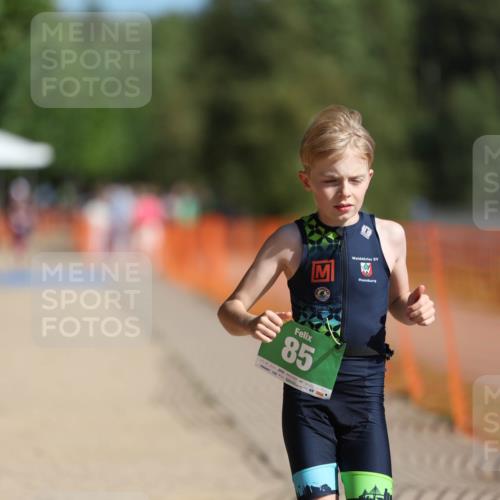 07.09.2025 - 19. Norderstedt Triathlon Michael Strokosch http://msf.ph/oto/8744719 07.09.2025 10:58:53 Laufen 85, 1113 meine-sportfotos.de
