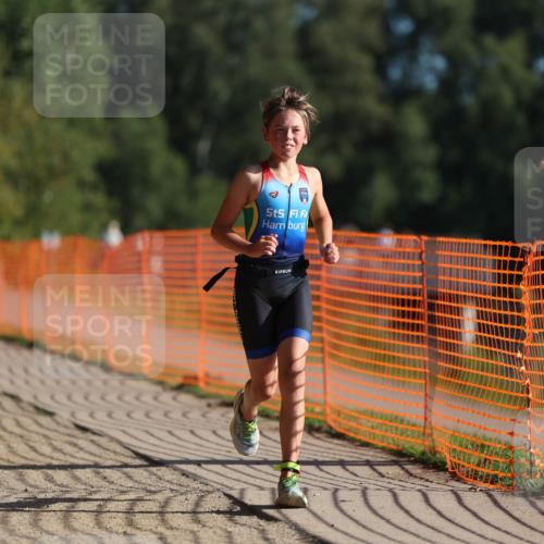 07.09.2025 - 19. Norderstedt Triathlon Michael Strokosch http://msf.ph/oto/8745572 07.09.2025 09:43:36 Laufen 562, 591 meine-sportfotos.de