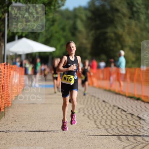 07.09.2025 - 19. Norderstedt Triathlon Michael Strokosch http://msf.ph/oto/8746248 07.09.2025 09:44:26 Laufen 566, 614 meine-sportfotos.de