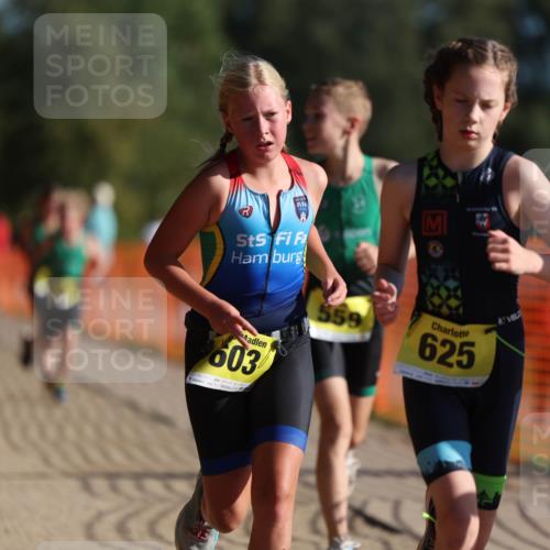 07.09.2025 - 19. Norderstedt Triathlon Michael Strokosch http://msf.ph/oto/8746573 07.09.2025 09:44:40 Laufen 559, 601, 603, 607, 618, 623, 625 meine-sportfotos.de