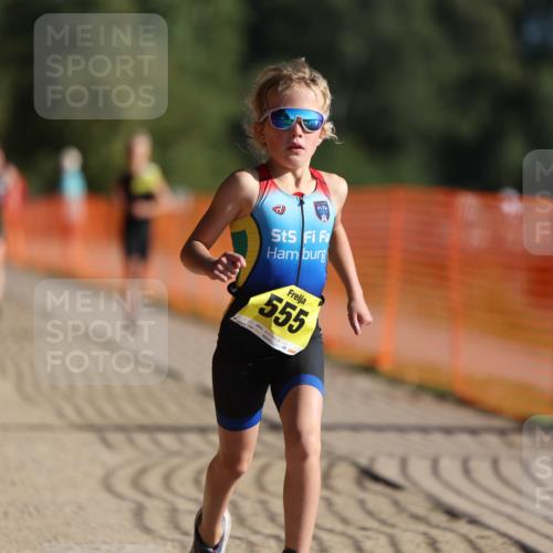 07.09.2025 - 19. Norderstedt Triathlon Michael Strokosch http://msf.ph/oto/8748067 07.09.2025 09:46:18 Laufen 555, 584, 597 meine-sportfotos.de