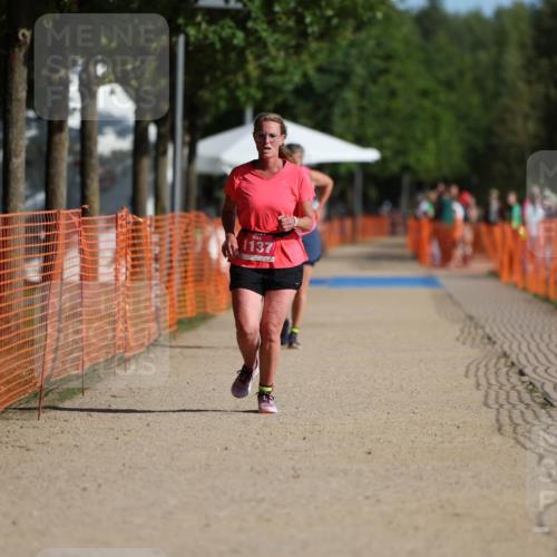 07.09.2025 - 19. Norderstedt Triathlon Michael Strokosch http://msf.ph/oto/8752850 07.09.2025 10:37:06 Laufen 1137, 1149 meine-sportfotos.de