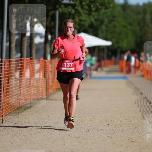 07.09.2025 - 19. Norderstedt Triathlon Michael Strokosch http://msf.ph/oto/8752869 07.09.2025 10:37:08 Laufen 1137 meine-sportfotos.de