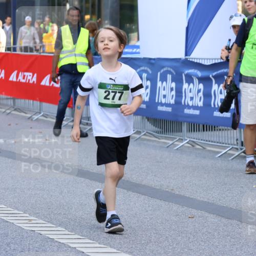 07.09.2025 - BARMER Alsterlauf Strokosch-Dieckow http://msf.ph/oto/8754047 07.09.2025 10:54:48 Ziel  meine-sportfotos.de