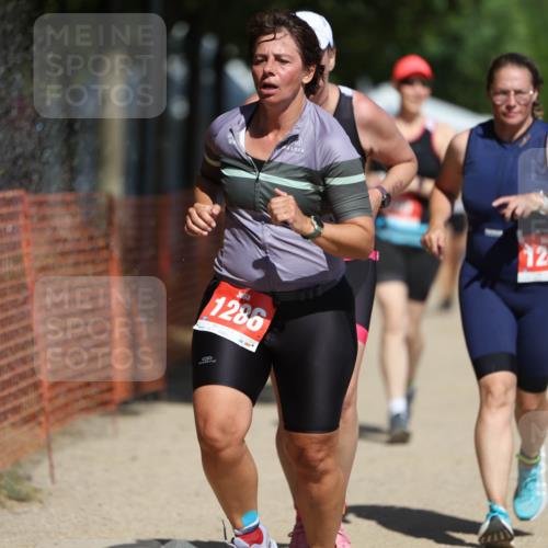 07.09.2025 - 19. Norderstedt Triathlon Michael Strokosch http://msf.ph/oto/8756427 07.09.2025 12:50:14 Laufen 165, 290, 762, 783, 1242, 1286, 1339, 1381 meine-sportfotos.de