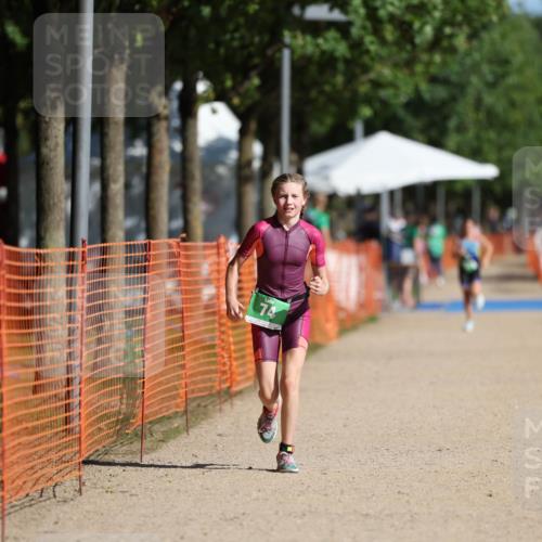 07.09.2025 - 19. Norderstedt Triathlon Michael Strokosch http://msf.ph/oto/8756771 07.09.2025 11:01:37 Laufen 74 meine-sportfotos.de