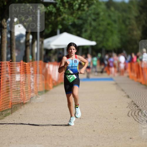 07.09.2025 - 19. Norderstedt Triathlon Michael Strokosch http://msf.ph/oto/8756987 07.09.2025 11:01:45 Laufen 74, 111 meine-sportfotos.de