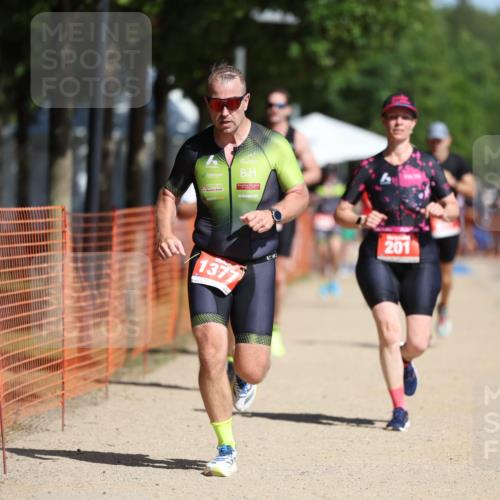 07.09.2025 - 19. Norderstedt Triathlon Michael Strokosch http://msf.ph/oto/8758752 07.09.2025 12:05:45 Laufen 201, 237, 815, 1225, 1377 meine-sportfotos.de