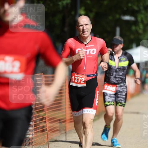 07.09.2025 - 19. Norderstedt Triathlon Michael Strokosch http://msf.ph/oto/8759189 07.09.2025 12:05:58 Laufen 822, 862, 1265, 1372 meine-sportfotos.de