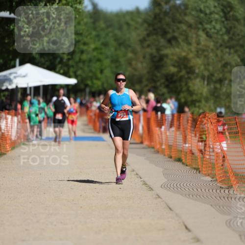 07.09.2025 - 19. Norderstedt Triathlon Michael Strokosch http://msf.ph/oto/8762494 07.09.2025 12:08:58 Laufen 793, 806, 1244 meine-sportfotos.de