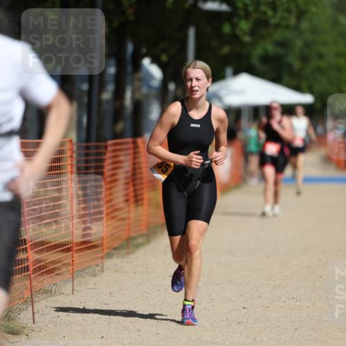07.09.2025 - 19. Norderstedt Triathlon Michael Strokosch http://msf.ph/oto/8763732 07.09.2025 12:10:49 Laufen 300, 1155 meine-sportfotos.de