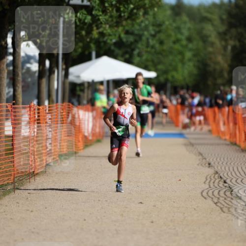 07.09.2025 - 19. Norderstedt Triathlon Michael Strokosch http://msf.ph/oto/8766811 07.09.2025 10:51:03 Laufen 75, 80, 663, 687 meine-sportfotos.de