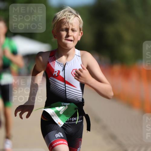 07.09.2025 - 19. Norderstedt Triathlon Michael Strokosch http://msf.ph/oto/8766864 07.09.2025 10:51:09 Laufen 80, 663 meine-sportfotos.de