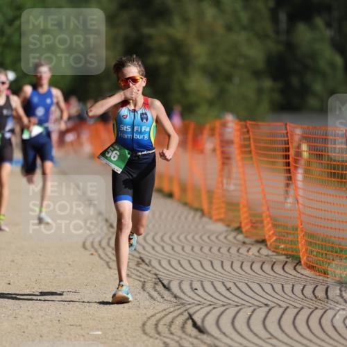 07.09.2025 - 19. Norderstedt Triathlon Michael Strokosch http://msf.ph/oto/8766979 07.09.2025 10:51:32 Laufen 56, 648, 673, 686, 1146 meine-sportfotos.de