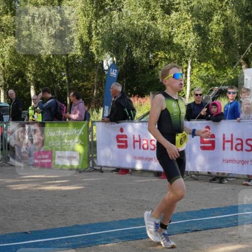 07.09.2025 - 19. Norderstedt Triathlon Zöllner http://msf.ph/oto/8768674 07.09.2025 09:46:05 Ziel 557, 600 meine-sportfotos.de