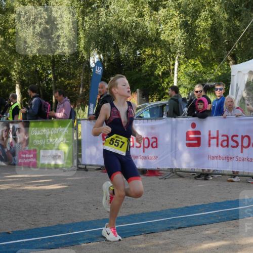 07.09.2025 - 19. Norderstedt Triathlon Zöllner http://msf.ph/oto/8768684 07.09.2025 09:46:10 Ziel 557, 600 meine-sportfotos.de