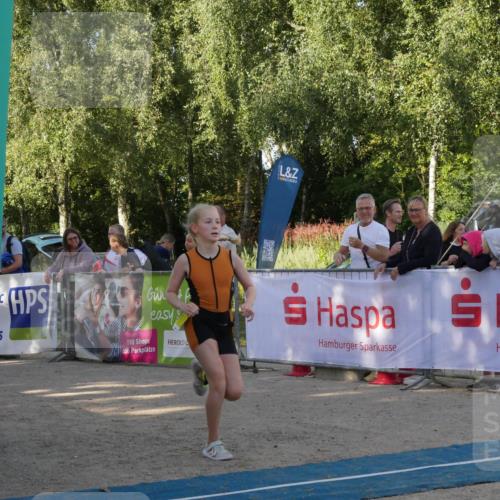 07.09.2025 - 19. Norderstedt Triathlon Zöllner http://msf.ph/oto/8769271 07.09.2025 09:51:30 Ziel 602, 606, 616, 621 meine-sportfotos.de