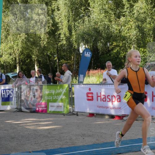 07.09.2025 - 19. Norderstedt Triathlon Zöllner http://msf.ph/oto/8769275 07.09.2025 09:51:31 Ziel 602, 606, 616, 621 meine-sportfotos.de