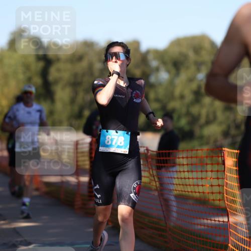 07.09.2025 - 19. Norderstedt Triathlon Michael Strokosch http://msf.ph/oto/8769310 07.09.2025 16:23:19 Laufen 362, 518, 537, 538, 543, 878, 943, 1046, 1588 meine-sportfotos.de