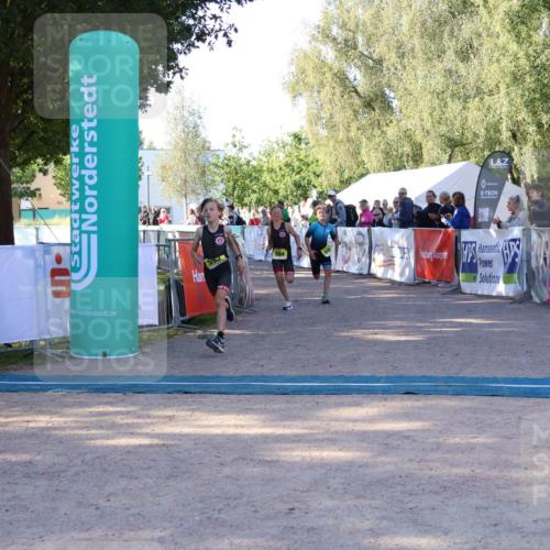 07.09.2025 - 19. Norderstedt Triathlon Zöllner http://msf.ph/oto/8770428 07.09.2025 09:45:55 Ziel 594, 595, 604 meine-sportfotos.de